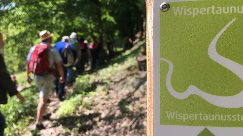 208 km purer Wanderspaß auf den Wispertrails